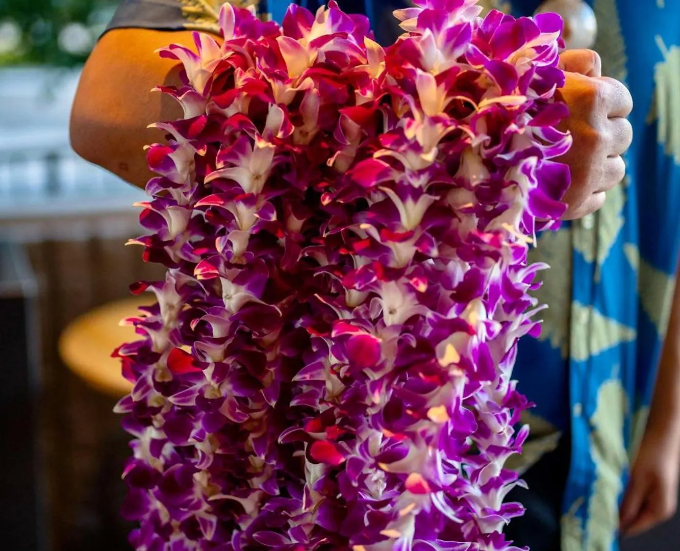 Wayfinder Waikiki - Voted Top 10 Best Hotels In Hawaii! Honolulu 4*,  Stany Zjednoczone Ameryki
